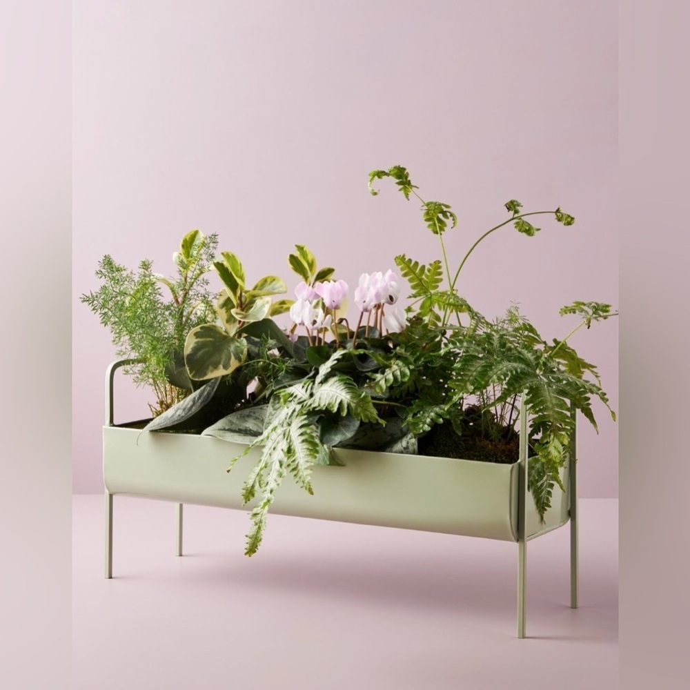 RARE ANTHROPOLOGIE NWT Minty Trough Planter 💚2nd one in my closet!💚